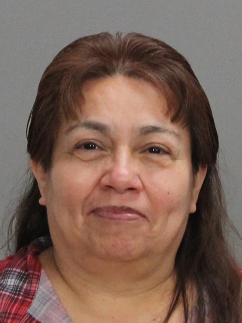 MENDEZ, DORA MOLINA booking photo