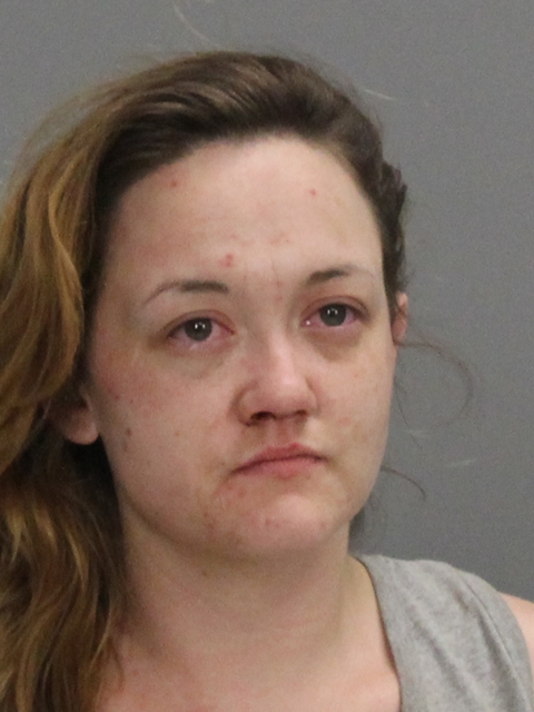 ADELSTEIN, PATRICIA GAIL booking photo