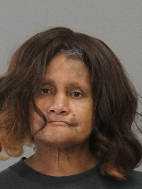 Farris, Bobbie Johnson booking photo