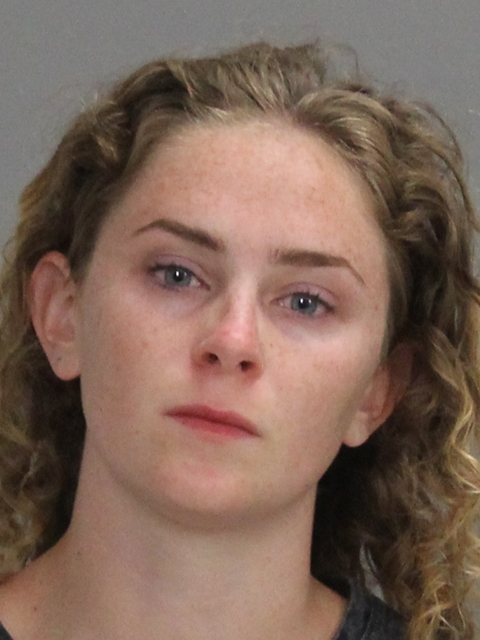 Sims, Brinna Hilbert booking photo