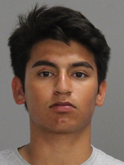 Herrera, David booking photo