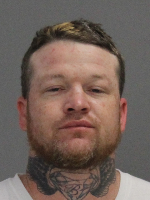 POWELL, CHASE LEVI booking photo