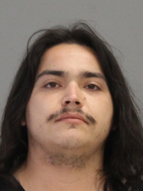 ALVARADO, NICHOLAS RYAN booking photo