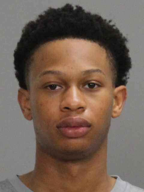 YOUNG, NICHLEOUS FITZGERALD booking photo