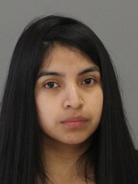 LOPEZ MAURICIO, LIVNY booking photo