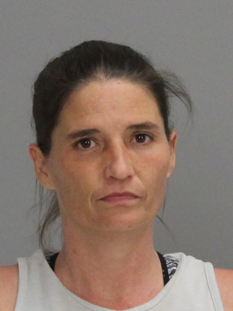 FLAHERTY, LAURIE ANN booking photo