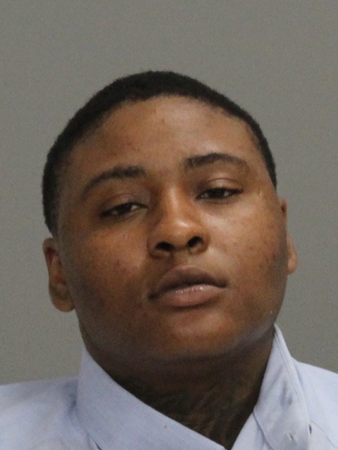 Love, Brianna Reajean booking photo