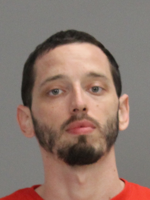 TOWELL, DAVID WAYNE, Jr booking photo