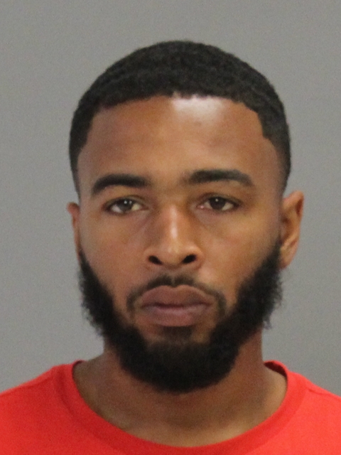 YOUNG, DEVON LEE booking photo