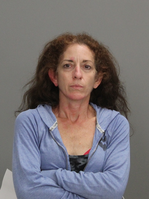 YOUNG, SHAY DENISE booking photo