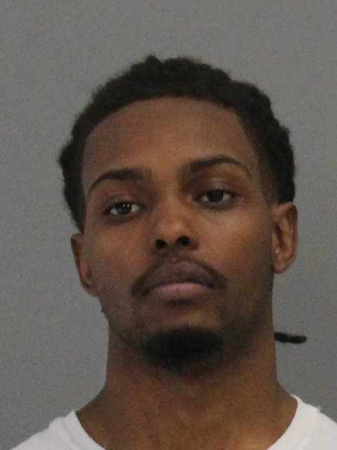 HOLIDAY, DESMOND VASHAWN booking photo