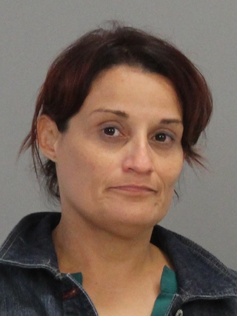 VIGNERI, LESLEY BROOKE booking photo