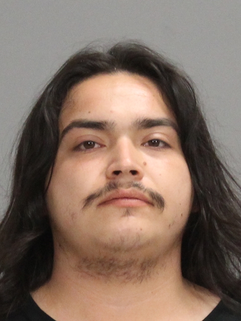 ALVARADO, NICHOLAS RYAN booking photo