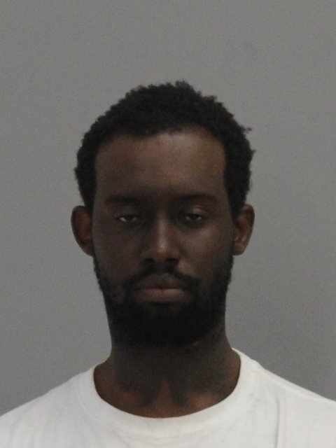 WILLIAMS, BYRON LEFELLE booking photo