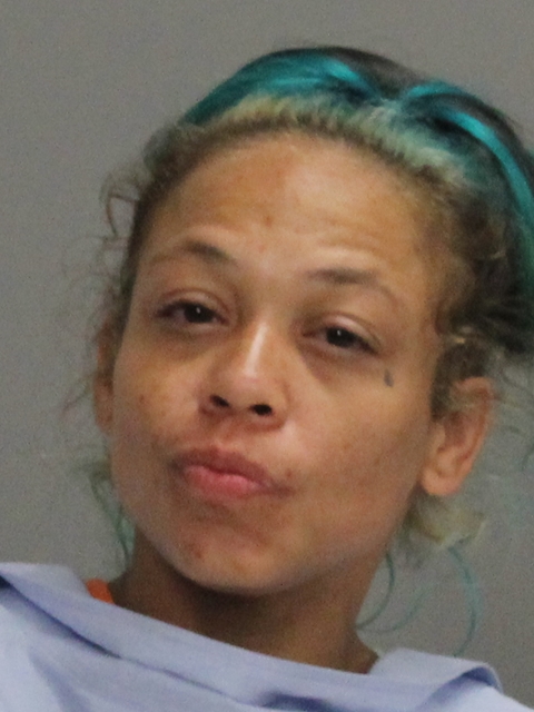 RYAN, KIMBERLY NICHOLLE booking photo