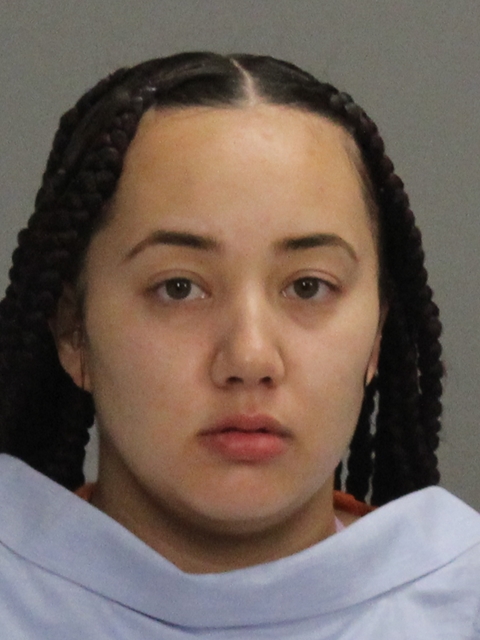 Reno, Chelsea Rose booking photo