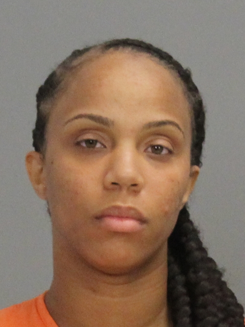 Bradley, Felina Nicole booking photo