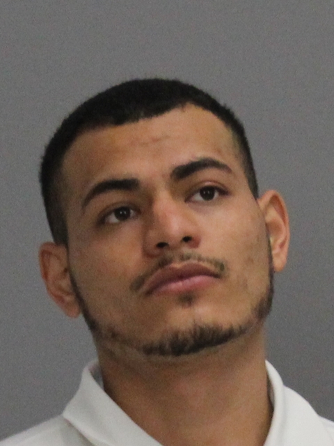 Posadas, Brandon Lee booking photo