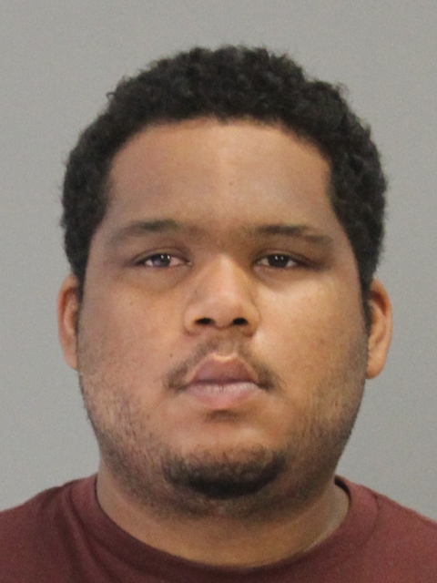 BRAY, DOMINIQUE EUGENE booking photo