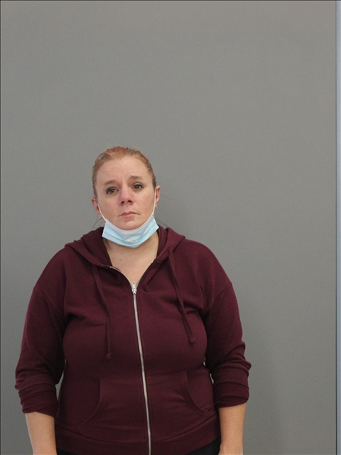 JOHNSON, JILL MARIE booking photo