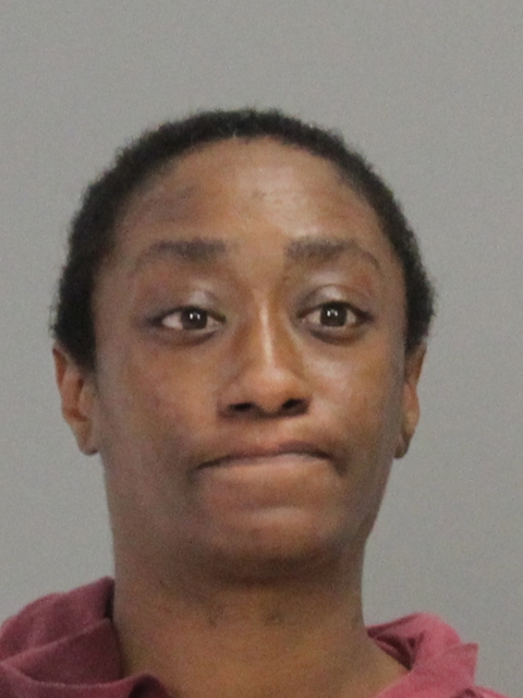 WILLIAMS, TERESA DENISE booking photo