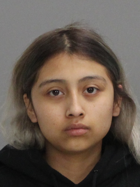CASTILLO, MARISA GUADALUPE booking photo