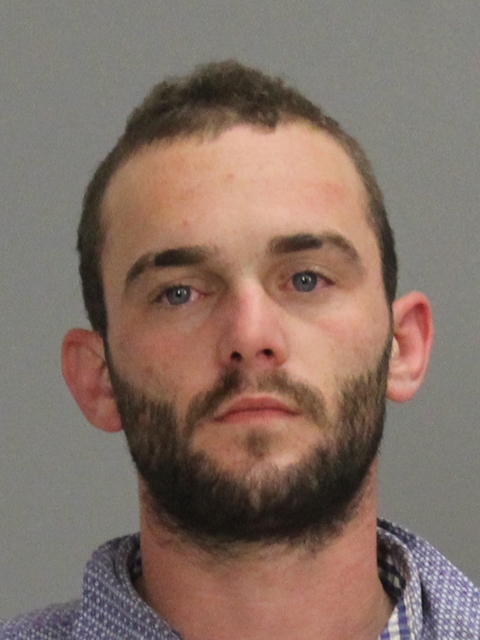 Wood, David Adam booking photo