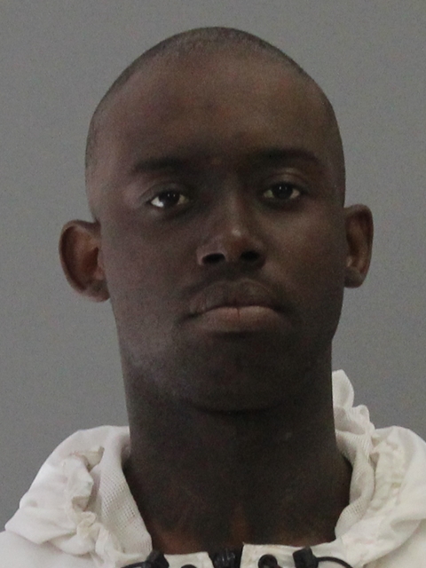 WILLIAMS, BYRON LEFELLE booking photo