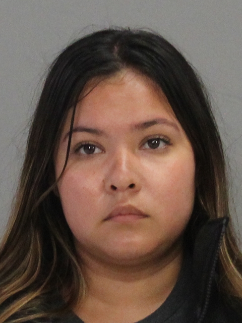 RAMIREZ, ELISA booking photo