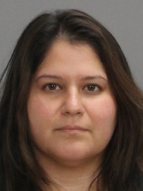 PINEDA, RENEE NICOLINA booking photo