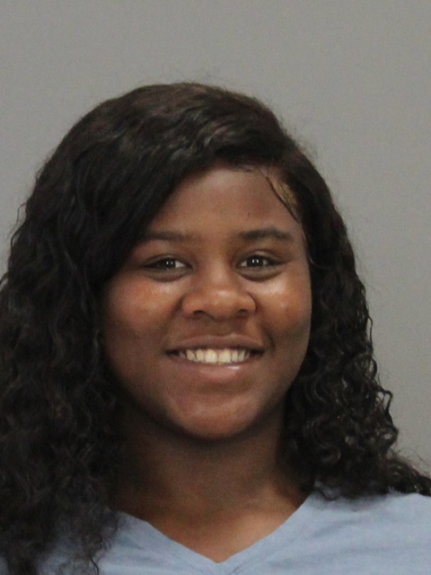 JOHNSON, ANDREIONNA TWINIC booking photo