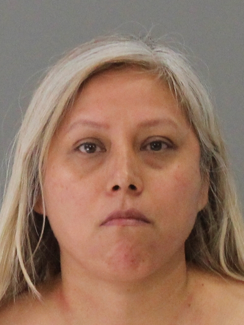 TREJO-REYES, OLGA LIDIA booking photo