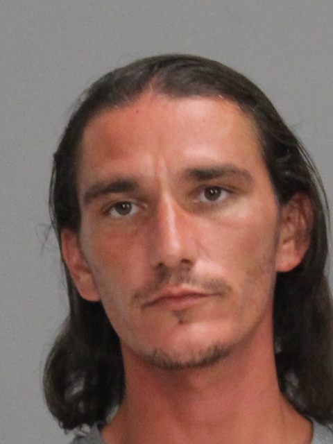 JONES, JERRY ROY booking photo