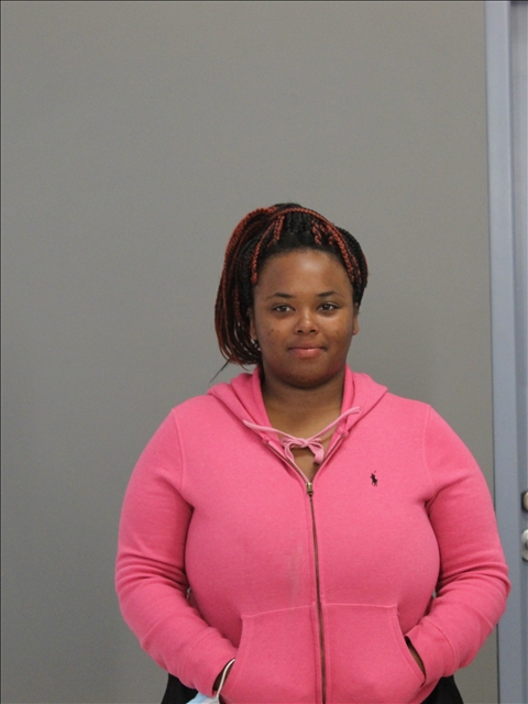 Johnson, Shyerica SHANTEL booking photo