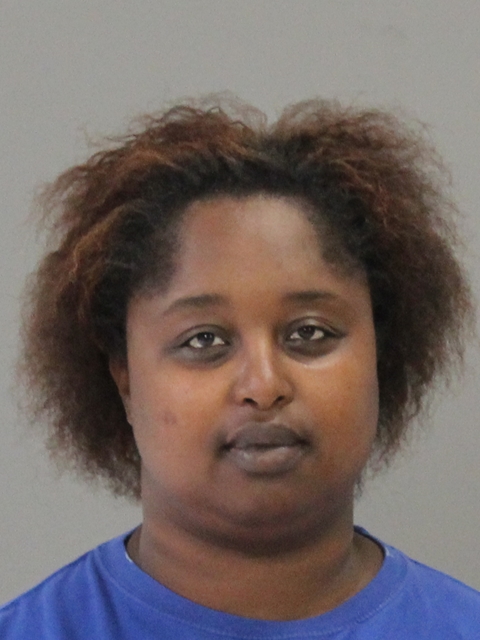 HAWKINS, SANDRA ELAINE booking photo