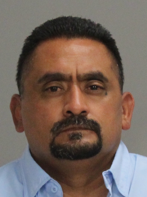 HERNANDEZ, TRACY arrested by Brazos County SO/PD
