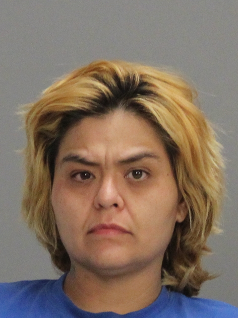 ALVAREZ-AMARO, VERONICA JO arrested by Brazos County SO/PD