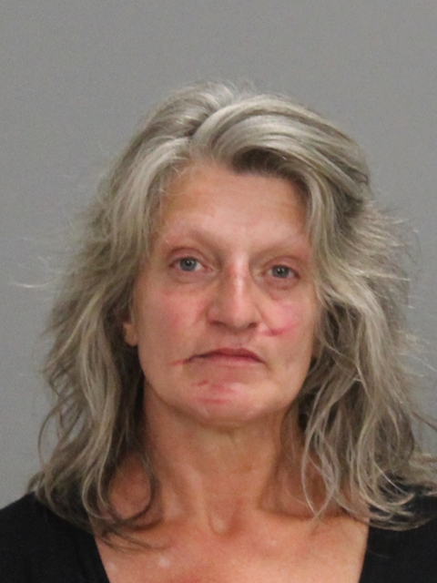 TURNER, MERRILEE booking photo