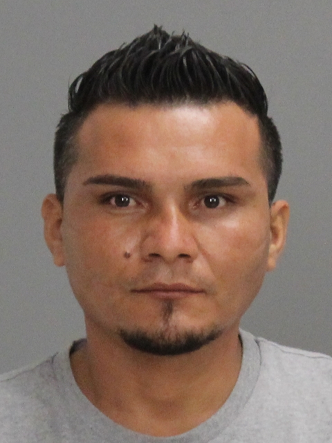 LAINEZ GARCIA, EFREN ARMANDO booking photo