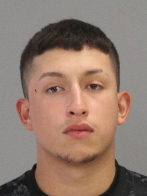 Melgoza, Luis E, Jr. booking photo