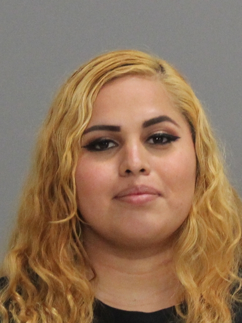 LLANAS, ARACELI booking photo