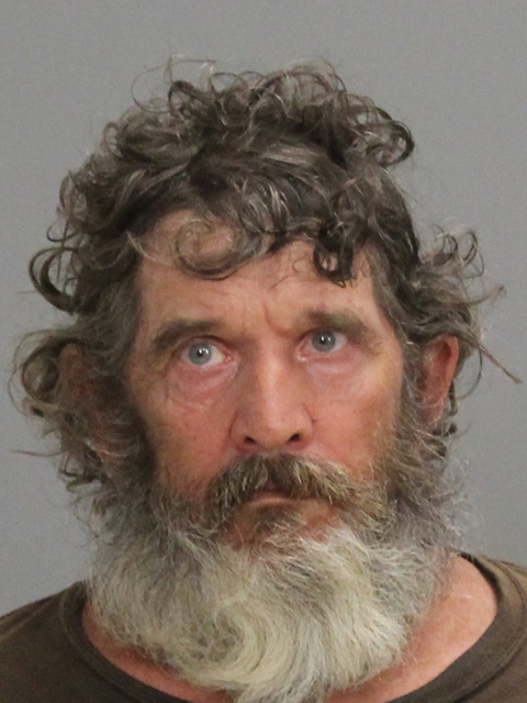 ROMANS, STACY LEE booking photo