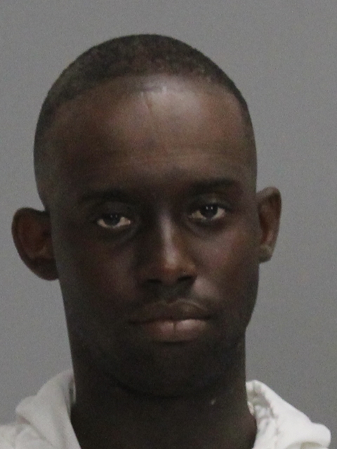 WILLIAMS, BYRON LEFELLE booking photo