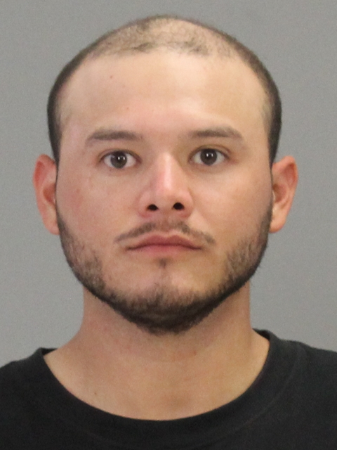 ARREOLA, MARVIN REY booking photo