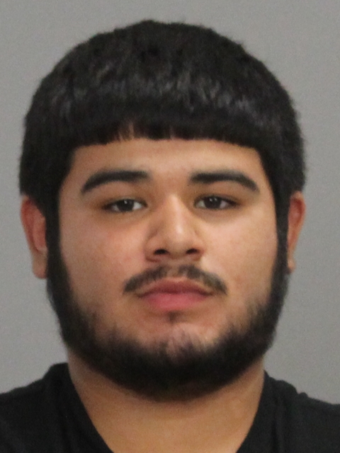 BENITEZ, FERMIN IBARRA booking photo