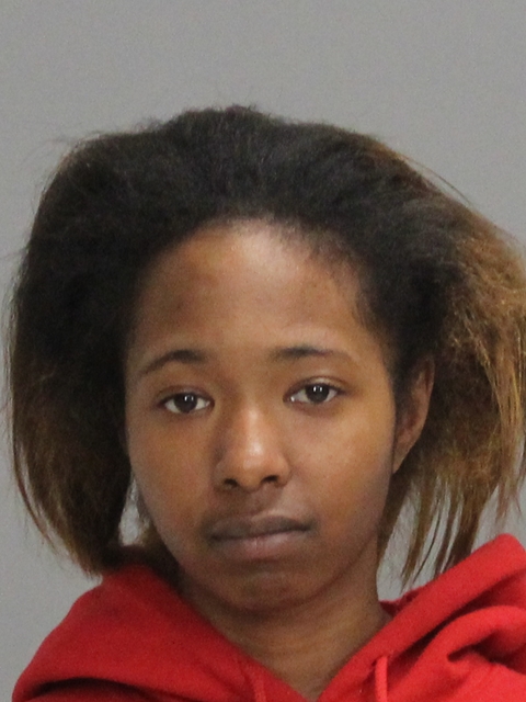 ROBINSON, ALEXANDRIA RENAE booking photo