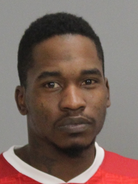 PALMO, JAMIE JAMEL booking photo