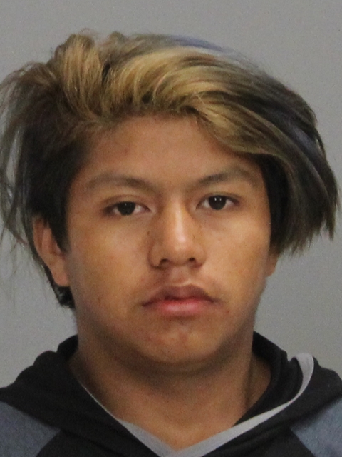 ORDONEZ, WILFREDO booking photo