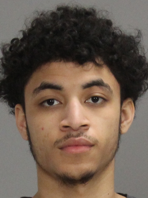 LIJON, JEWEL TOURE booking photo