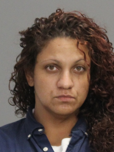 WHITING, AMANDA DELEE booking photo